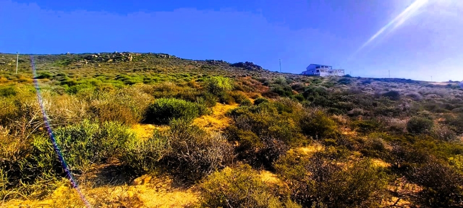 0 Bedroom Property for Sale in Steenbergs Cove Western Cape